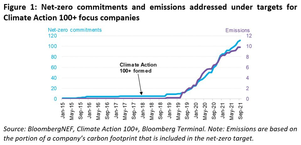 Net Zero Commitments